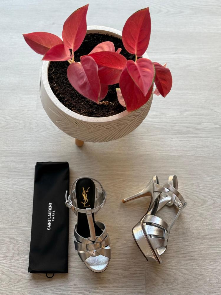 Saint Laurent Luxury Heels with Stiletto Heel in Silver