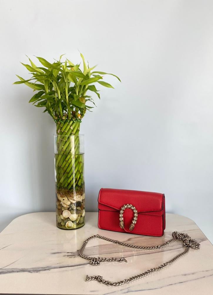 Gucci Dionysus Shoulder Bag in Solid Red