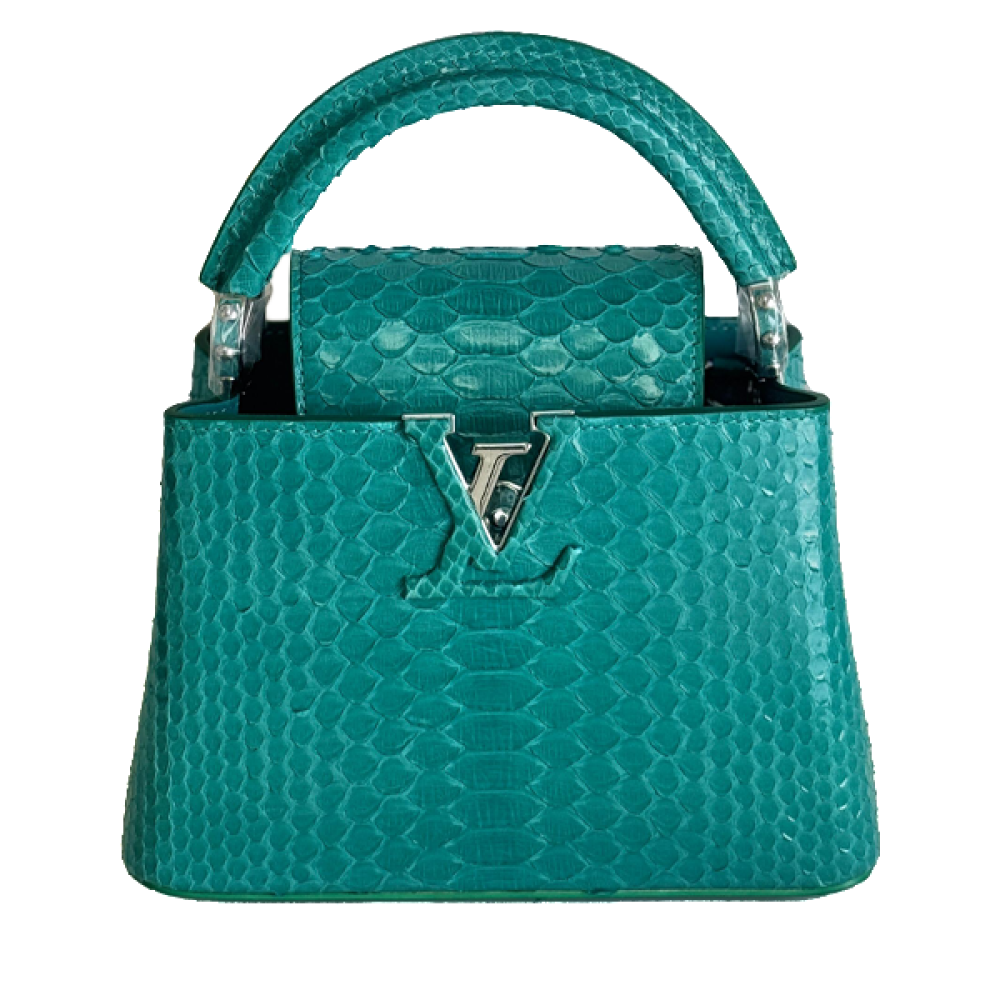 アネモネ様 Louis Vuitton Capucines Snake Skin Bag 21cm in Green - E