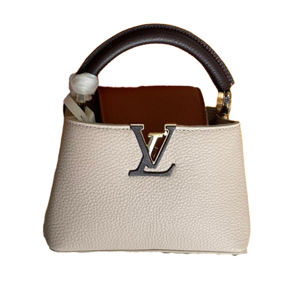 Louis Vuitton Capucine Grain Leather 21cm Beige Bag
