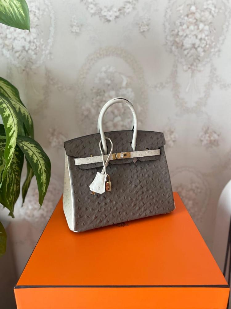ディオール Hermes Birkin 25cm Bag with Top Handles, Grey and White - E