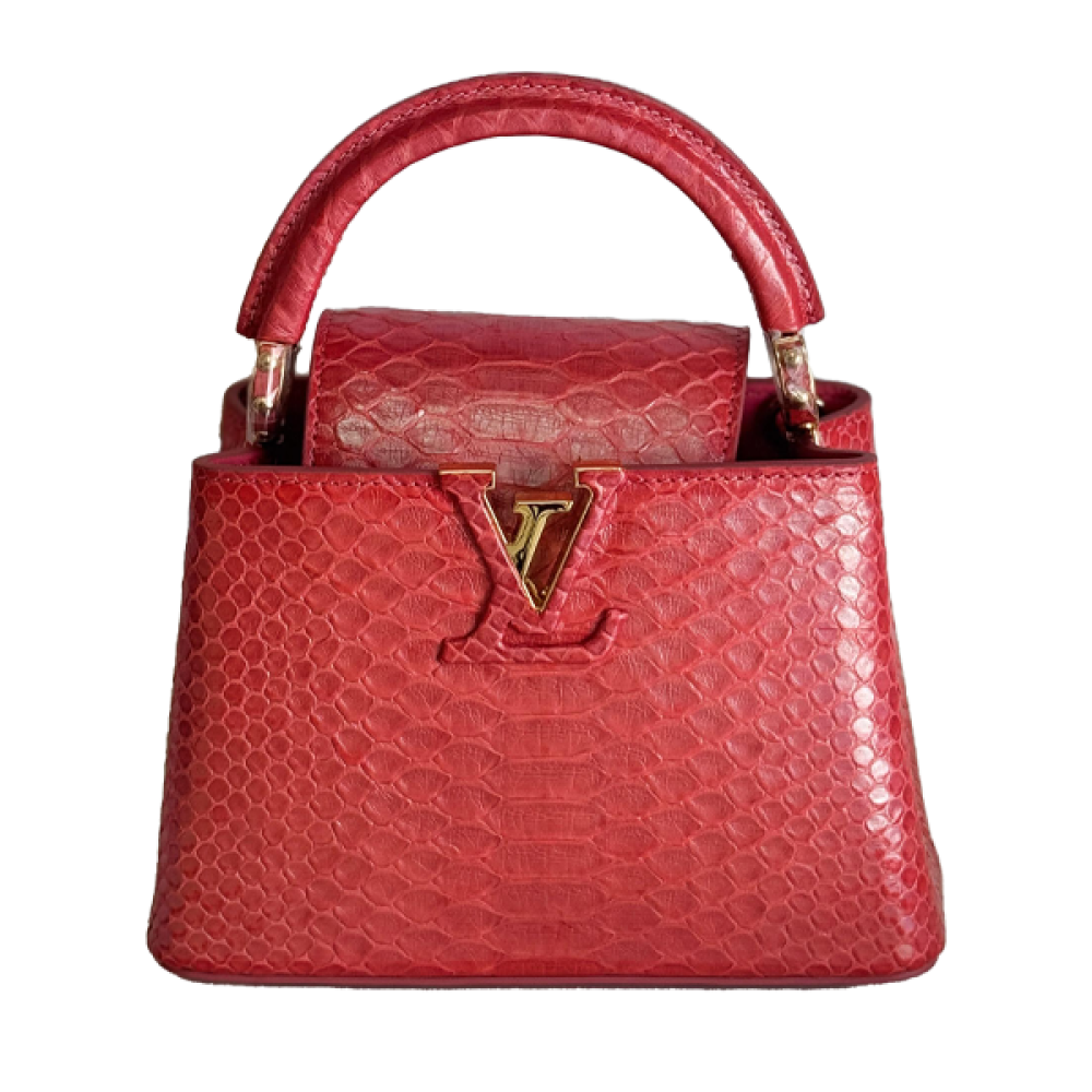 Louis Vuitton 赤 ノースリーブチュニック 34 Louis Vuitton Capucine Snakeskin 21cm Red Bag - E-SEVEN STORE