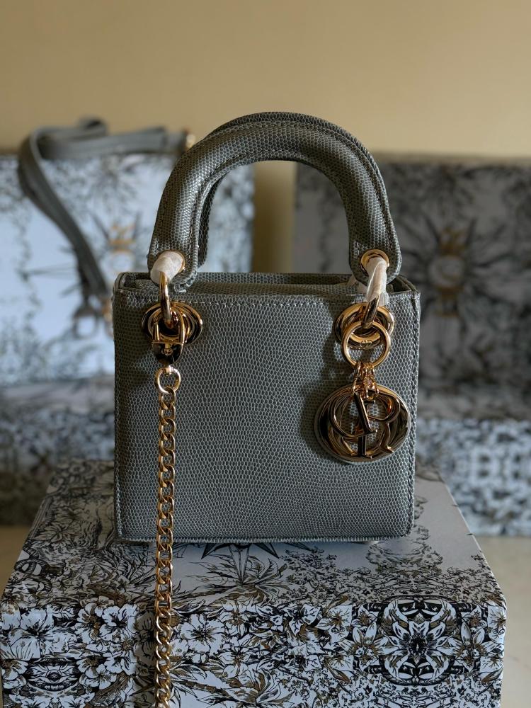 Dior 17cm Small Leather Bag in Grey and Gold