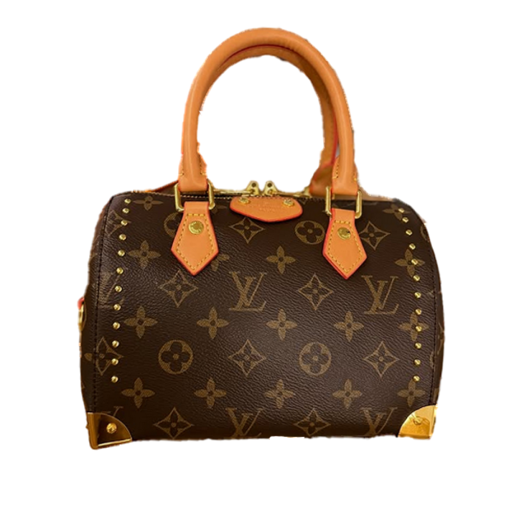 LOUIS VUITTONハンドバッグ Louis Vuitton 18cm Speedy Mini Bag with Handles and Shoulder Strap