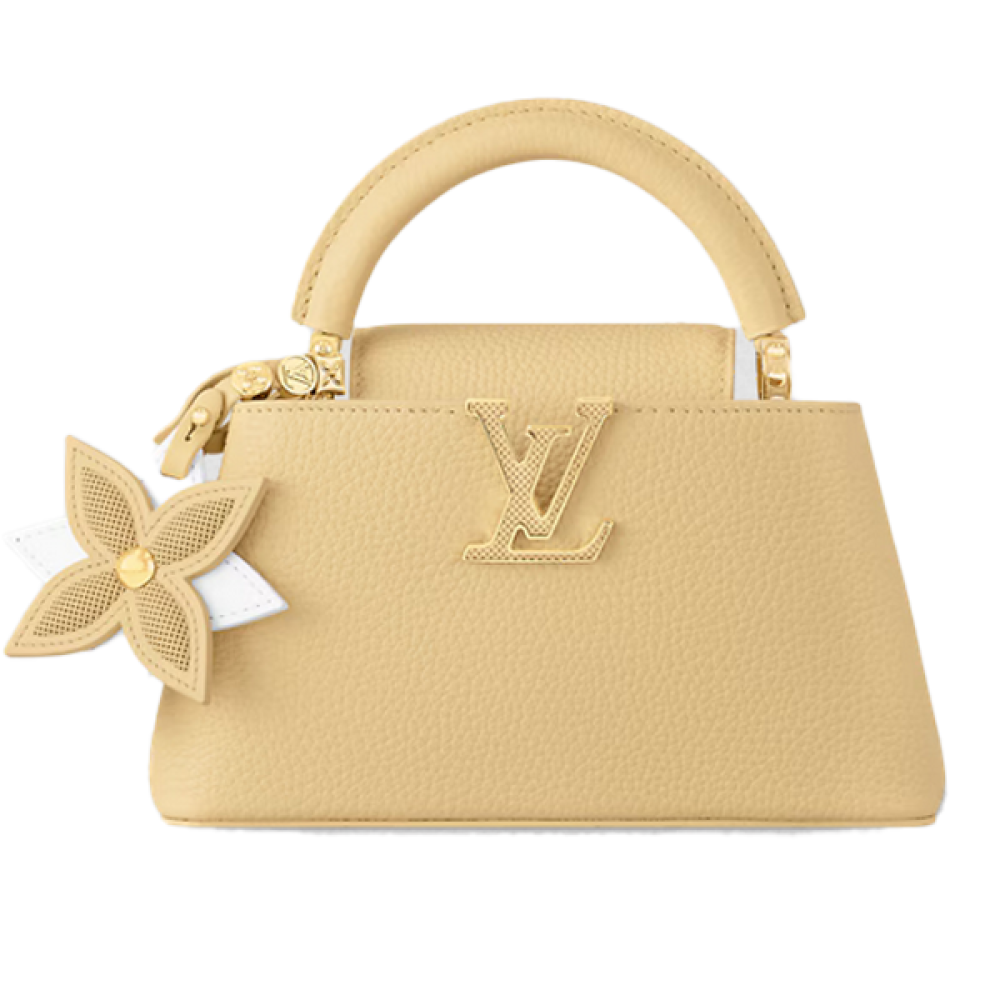 Louis Vuitton Capucine Mini Bag 21cm Beige Gold