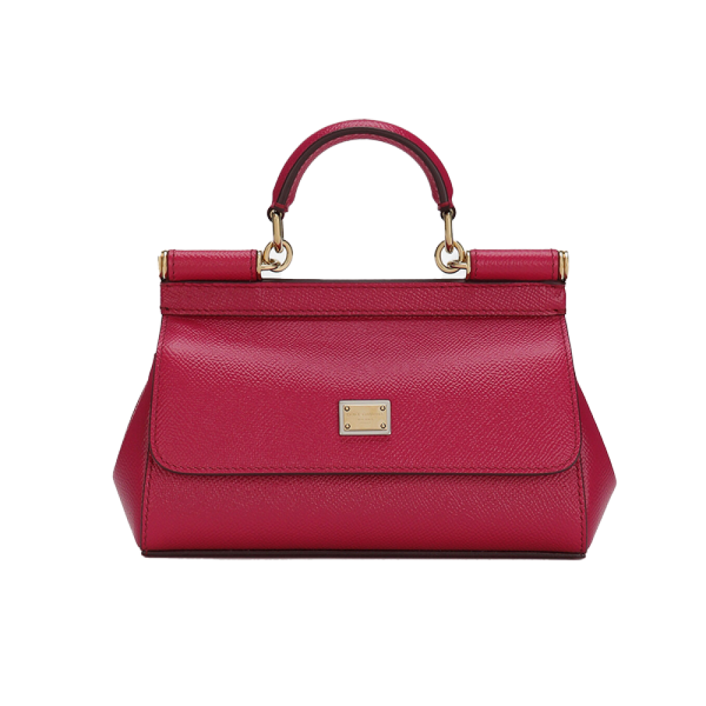 Dolce & Gabbana Sisley 25cm Leather Bag with Handle and