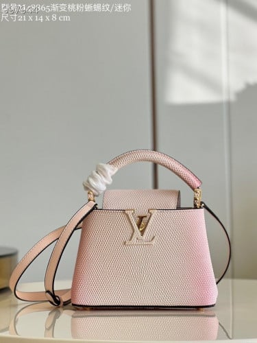 Louis Vuitton Elégante bag - E-SEVEN STORE