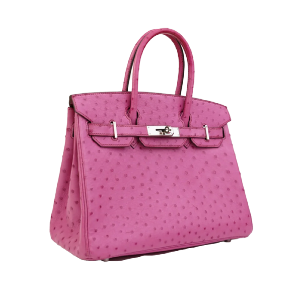 バーバリーズ Hermes Birkin 25cm Fuchsia Top Handle Bag - E-SEVEN STORE