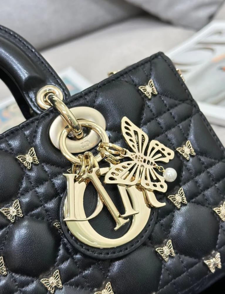 diorever bag
