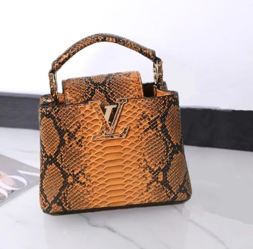 Louis Vuitton Turtle Mini Pouch Fashionable Brown and Yellow