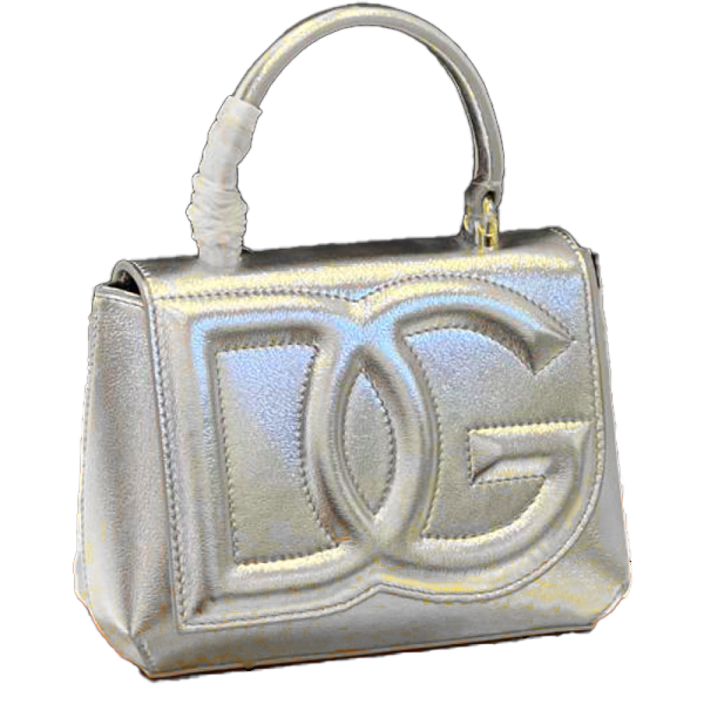 Dolce & Gabbana 18cm Small Handbag in Silver