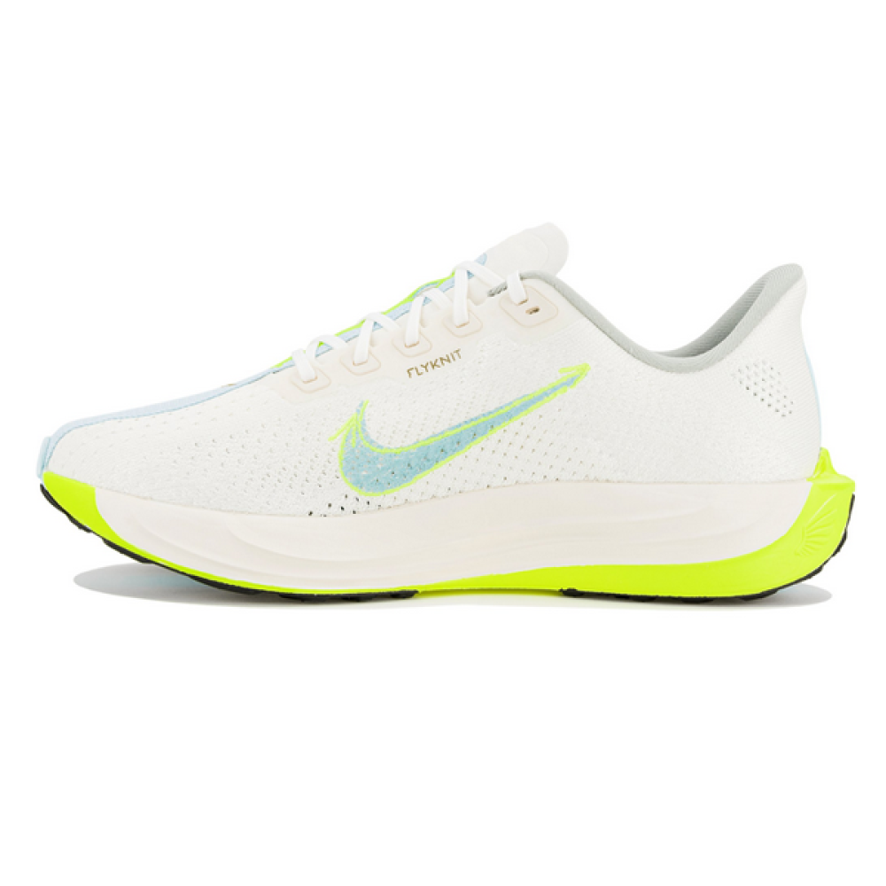 Nike Pegasus Plus Unisex Mesh Shoes, White Green