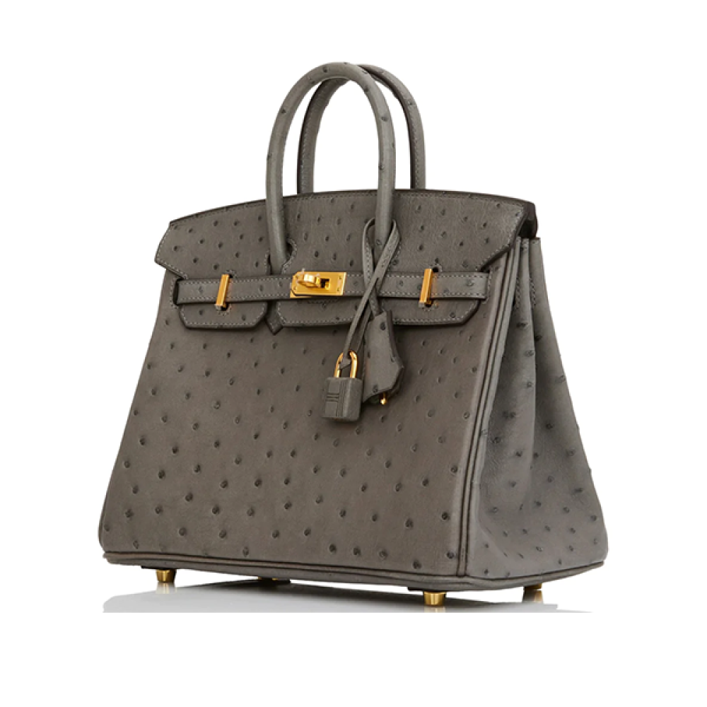 Hermes Birkin Top Handle Bag 25cm Dark Grey