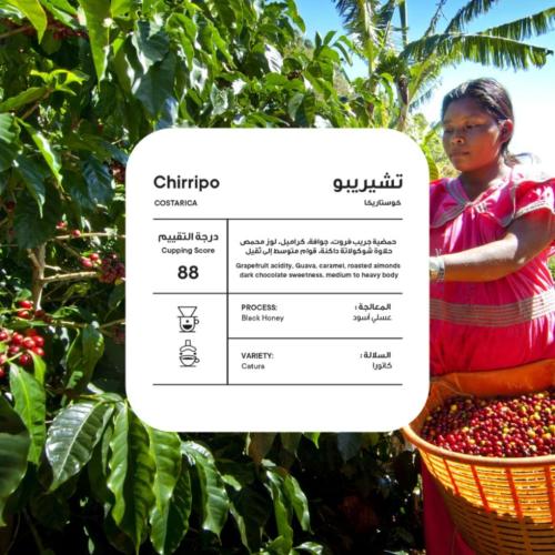 كوستاريكا تشيريبو عسلية - بيكولو | Chirripo