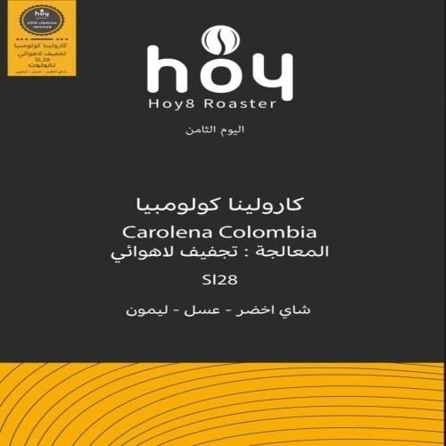 كولومبيا كارولينا لاهوائية - اليوم الثامن | Carole...