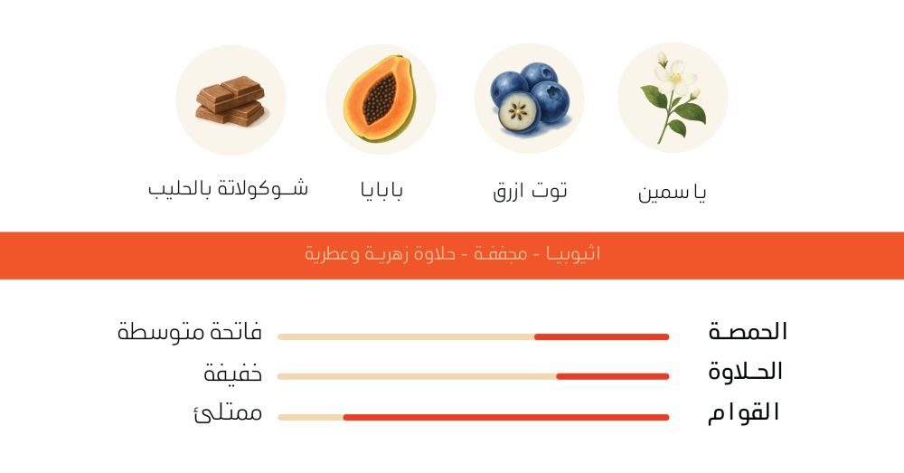 اثيوبيا قوجي - اش | Guji
