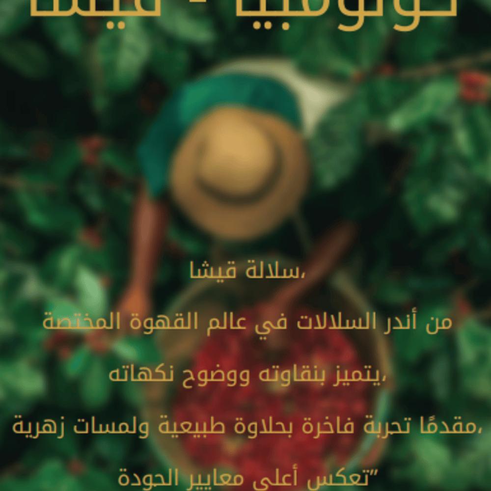 كولومبيا قيشا - التون | Gisha