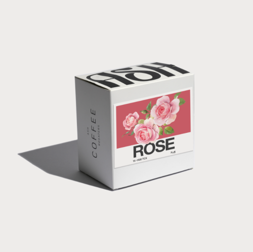 كولومبيا ورد لاهوائية - اش | Rose