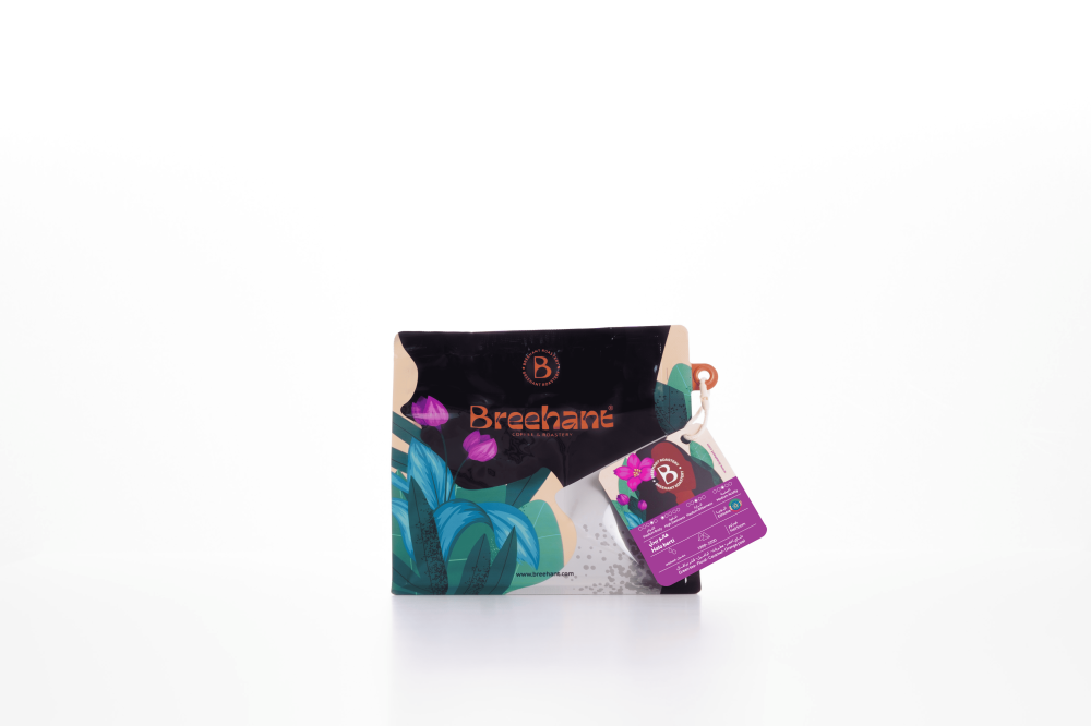 اثيوبيا هالو بيرتي - بريهانت | Hello Bertie