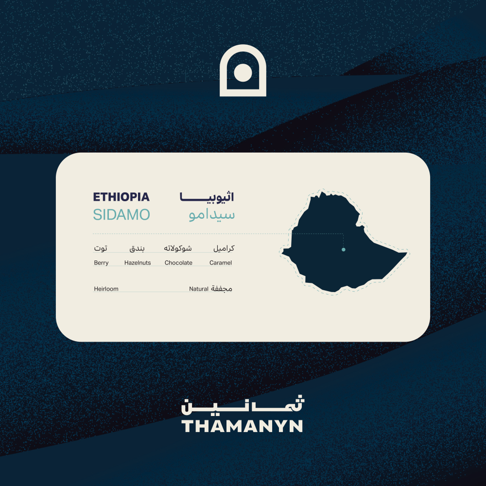 اثيوبيا سيدامو - ثمانين | Sidamo