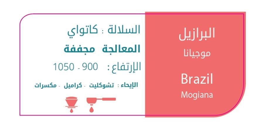 برازيل موجيانا 1 كيلو - التون | Mogiana 1Kg برازيل موجيانا 1 كيلو - التون | Mogiana 1Kg