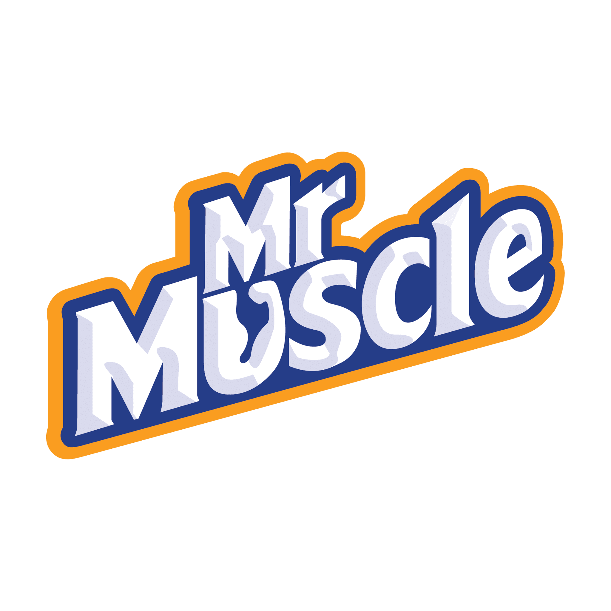 MR MUSCLE