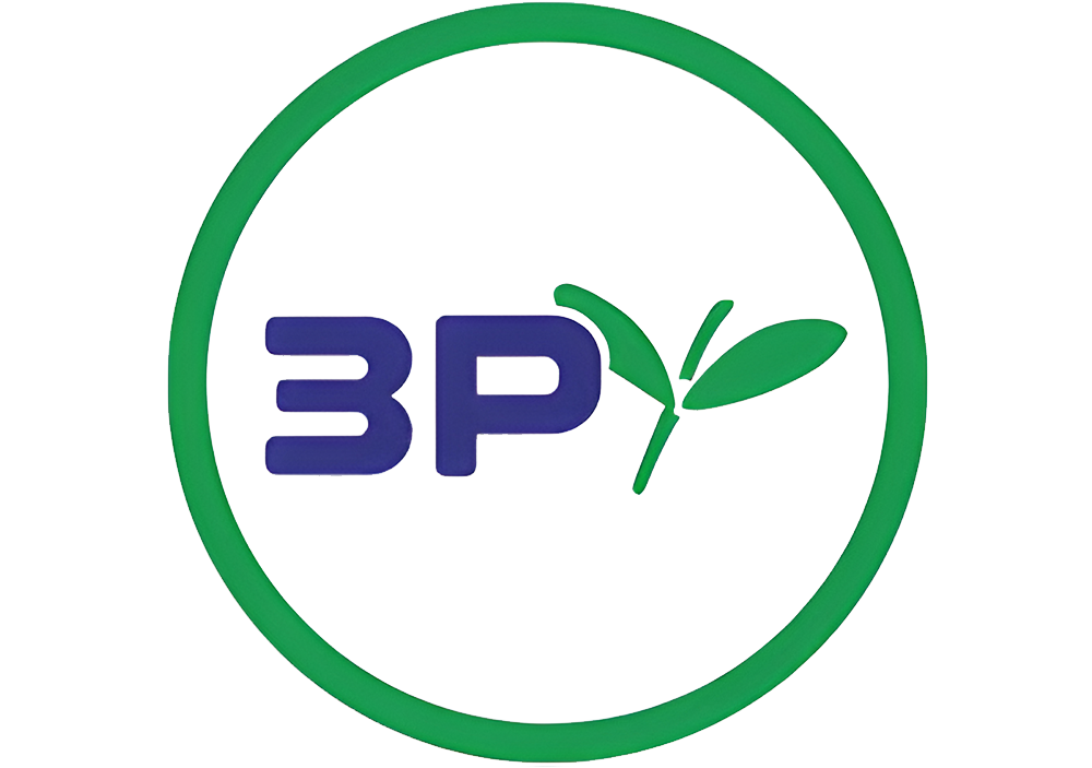 3P