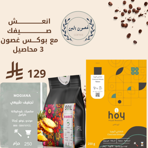 بوكس غصون