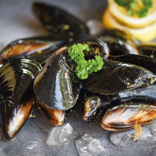 قواقع البحر (mussels)