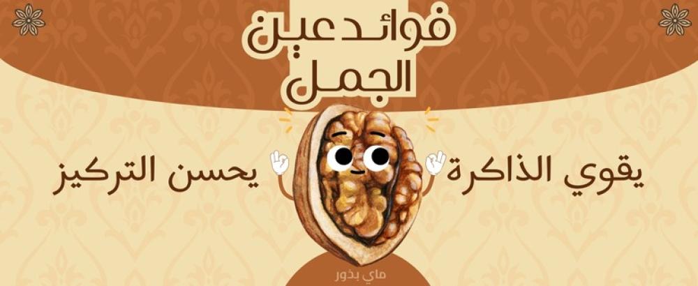 فوائد عين الجمل: اكتشف الفوائد الصحية المذهلة