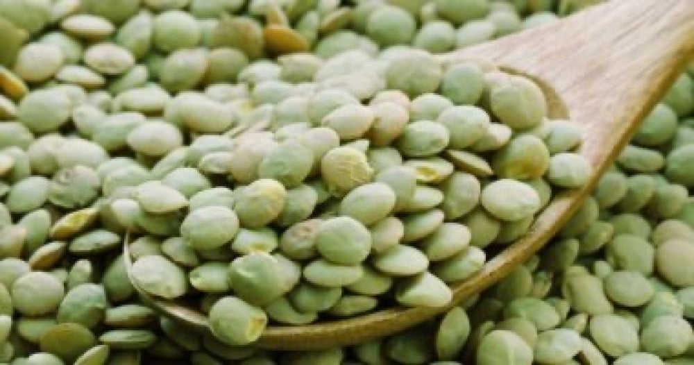 عدس أخضر   الخيار المثالي للطهي الصحي من ماي بذور