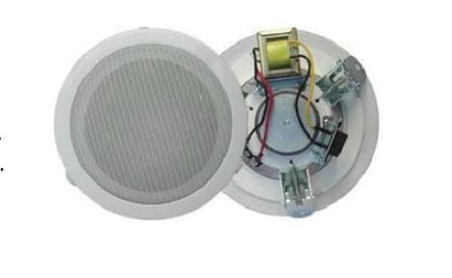 PS-56W مناسبة للمدارس، المكاتب، الفنادق، والمطارات. 2. *إدخال الخط*: تدعم 100 فولت أو 70 فولت. 3. *جودة صوت عالية*: توفر تجربة صوتية مريحة. 4. *سهولة التركيب*: تصميم يسهل التركيب في الأسقف.