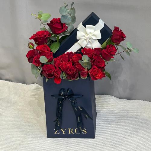 تنسيق قلم زايروس