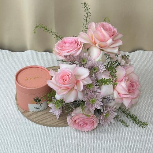 ستاند شوكليت