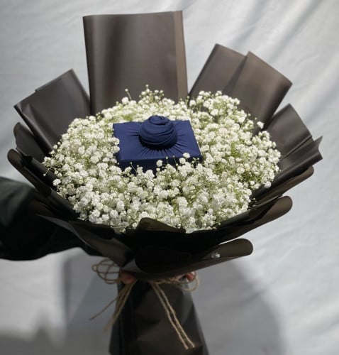 بوكيه جبسوفيليا