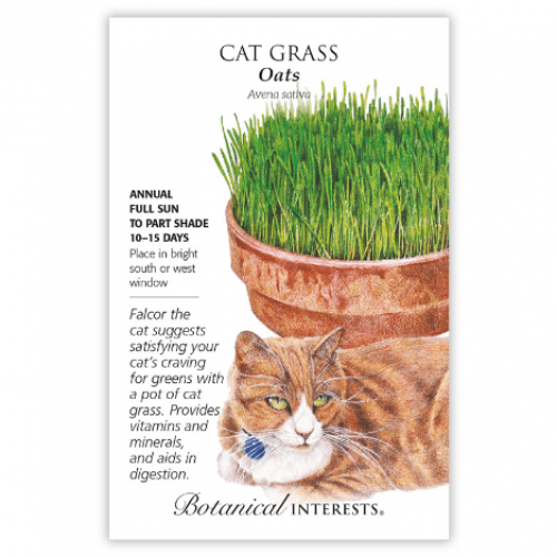 بذور عشبة القطة - Cat Grass Seeds