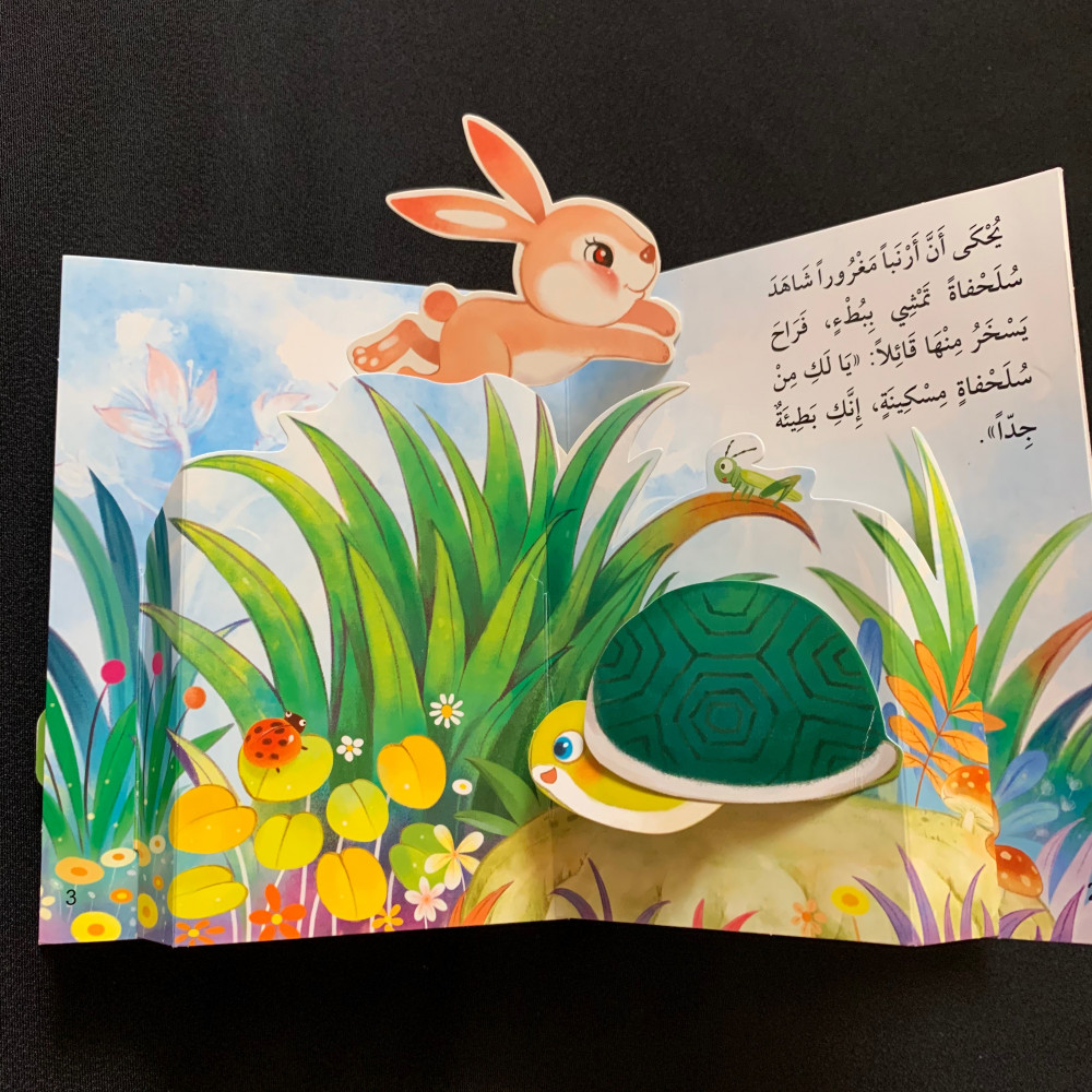 الأرنب والسلحفاة - ثلاثي الأبعاد - متجر فجر لكتب الأطفال
