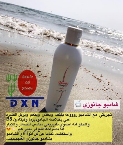 شامبو جانوزي دكسن dxn