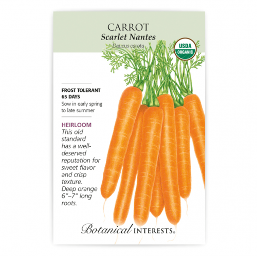 بذور جزر سكارلت - Scarlet Nantes Carrot Seeds