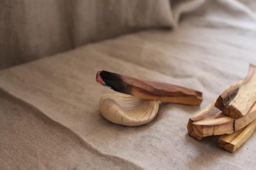 Palo Santo ( The Sacred Wood)