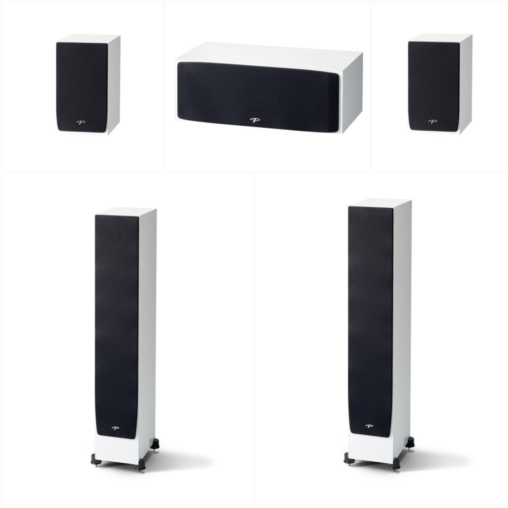 استمتع بجودة الصوت العالية مع مسرح Paradigm Monitor SE
