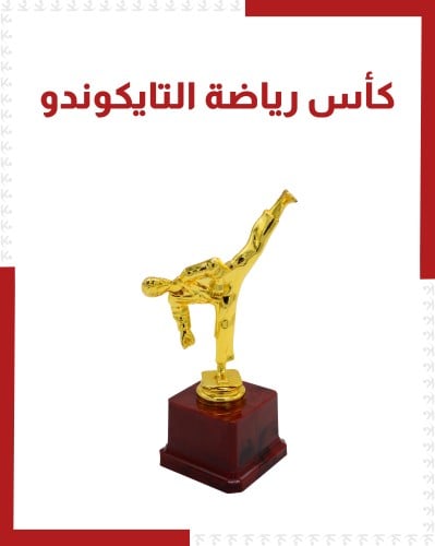 كأس رياضة التايكوندو