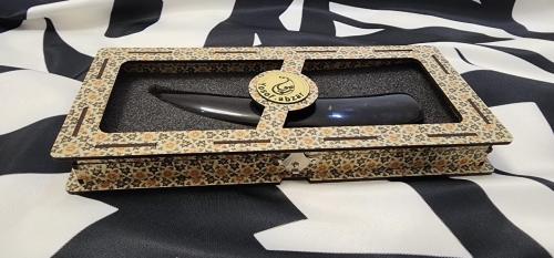 مقط عظم قرن