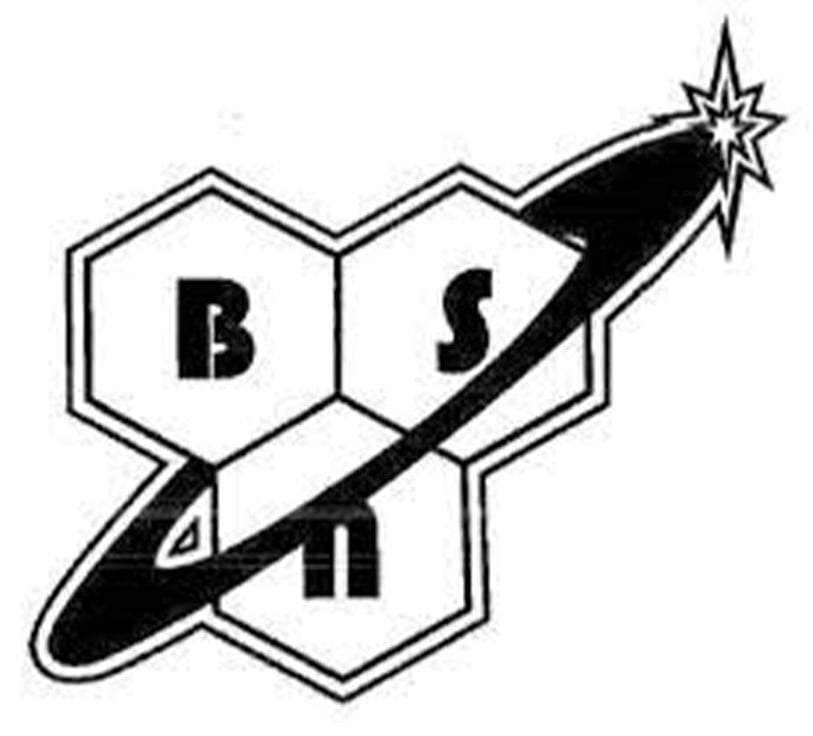 BSN