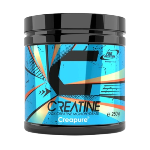 pro nutrition كرياتين برو 250 غرام