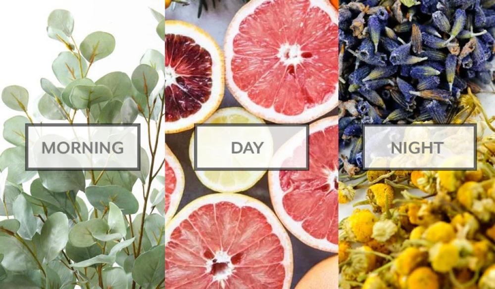 اعرف الفرق بين العطر الصباحي والمسائي واختر مايناسبك