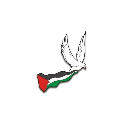 بروش فلسطين