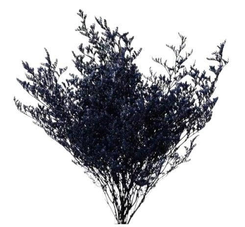 ليمونيا ملمس طبيعي مجفف - Limonium