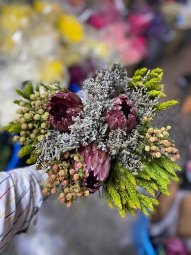 مكس افريكان ( برونيا)