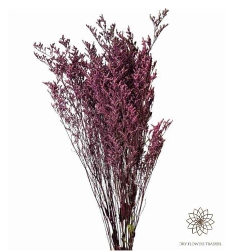 ليمونيا ملمس طبيعي مجفف - Limonium